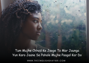 emotional shayari in hindi