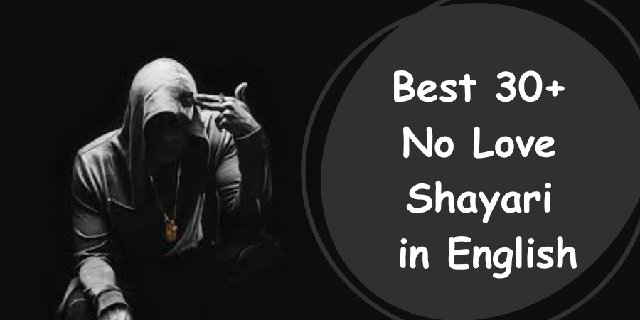 no love shayari