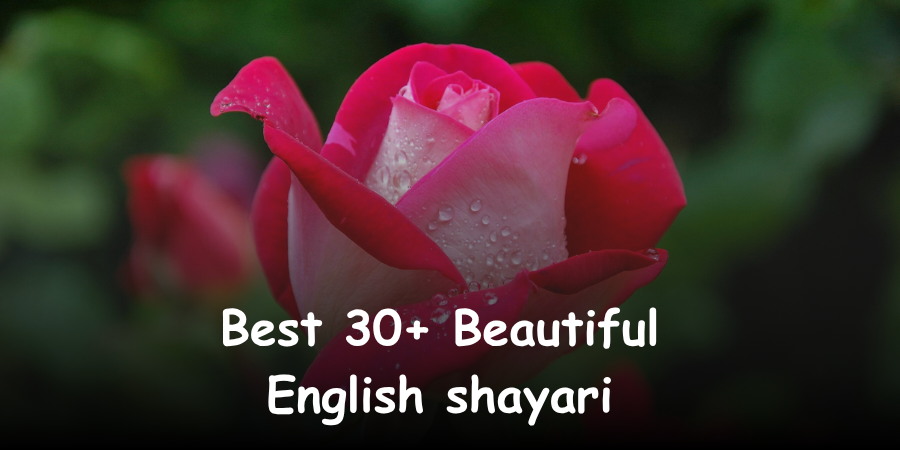 english shayari