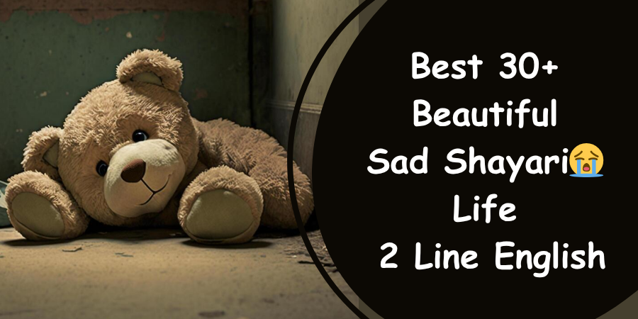 sad shayari😭 life 2 line english