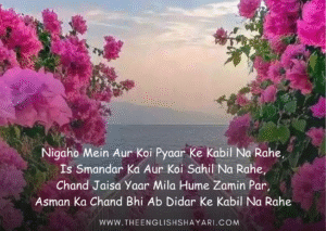 shayari in hindi english