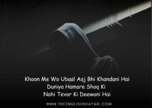 attitude shayari🔥 copy english