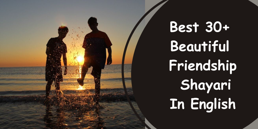 friendship shayari in english